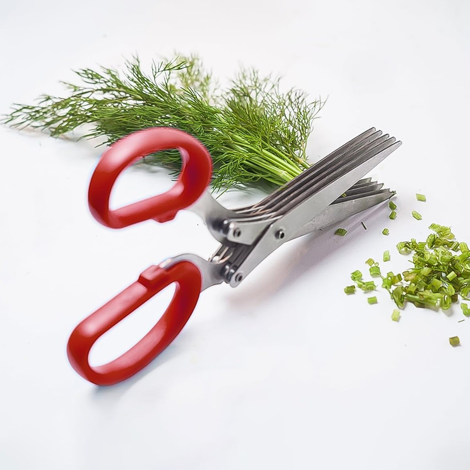 Multifunction Vegetable Stainless Steel Herbs Scissor with 5 Blades (1 Pc / Small)