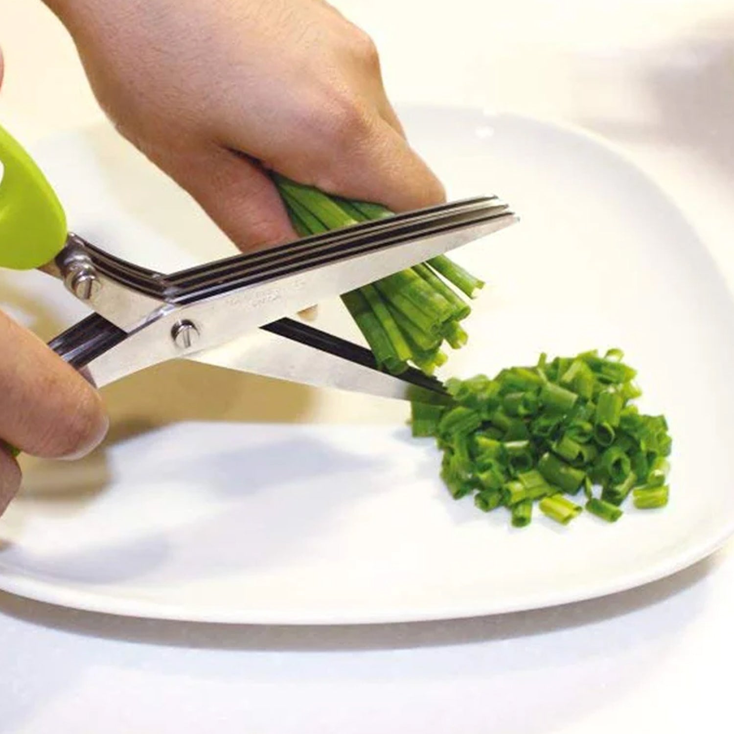 Multifunction Vegetable Stainless Steel Herbs Scissor with 5 Blades (1 Pc)