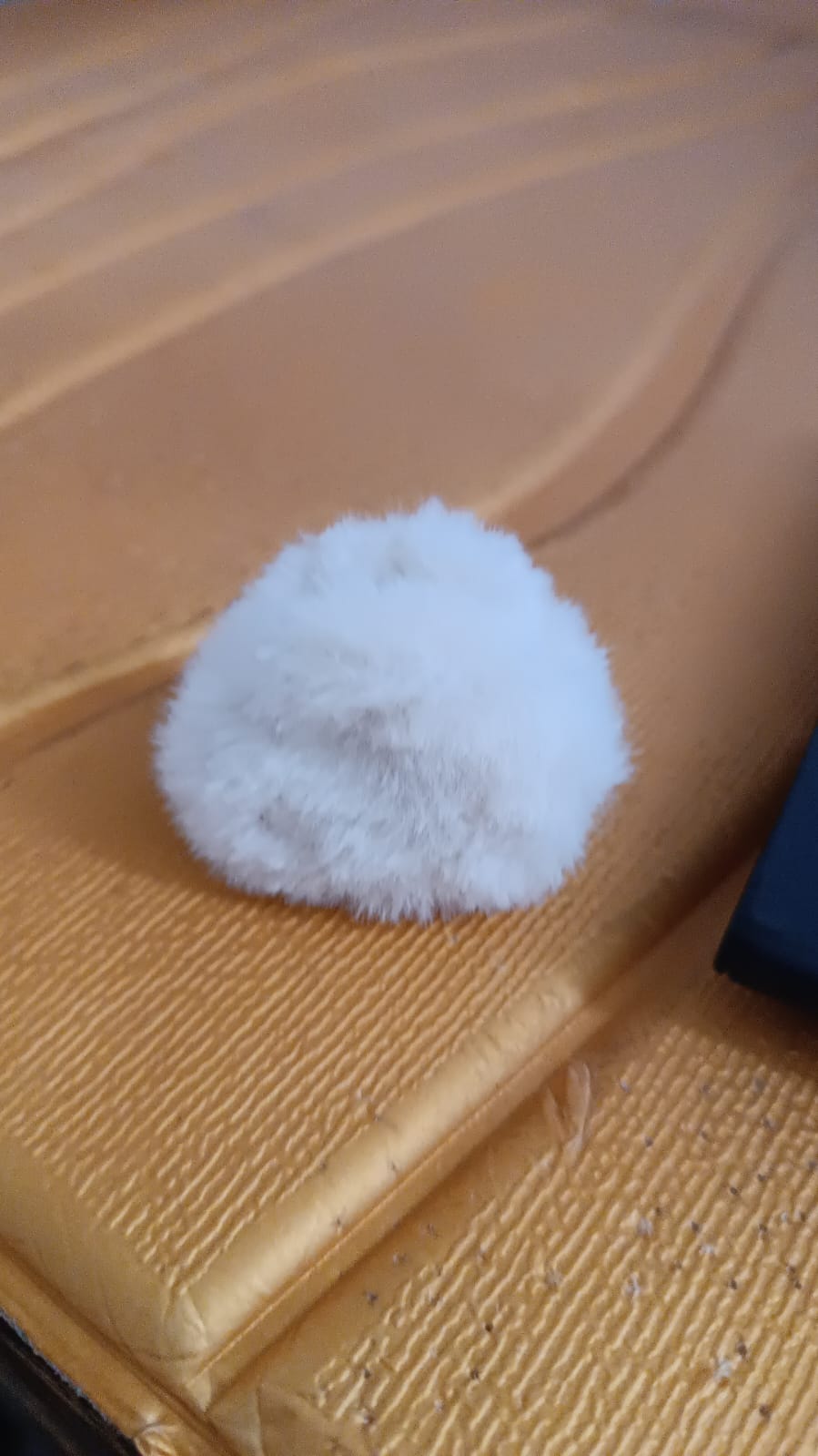Hair Claw Clips, Plastic Fluffy Hair Claw Hair (1 Pc)