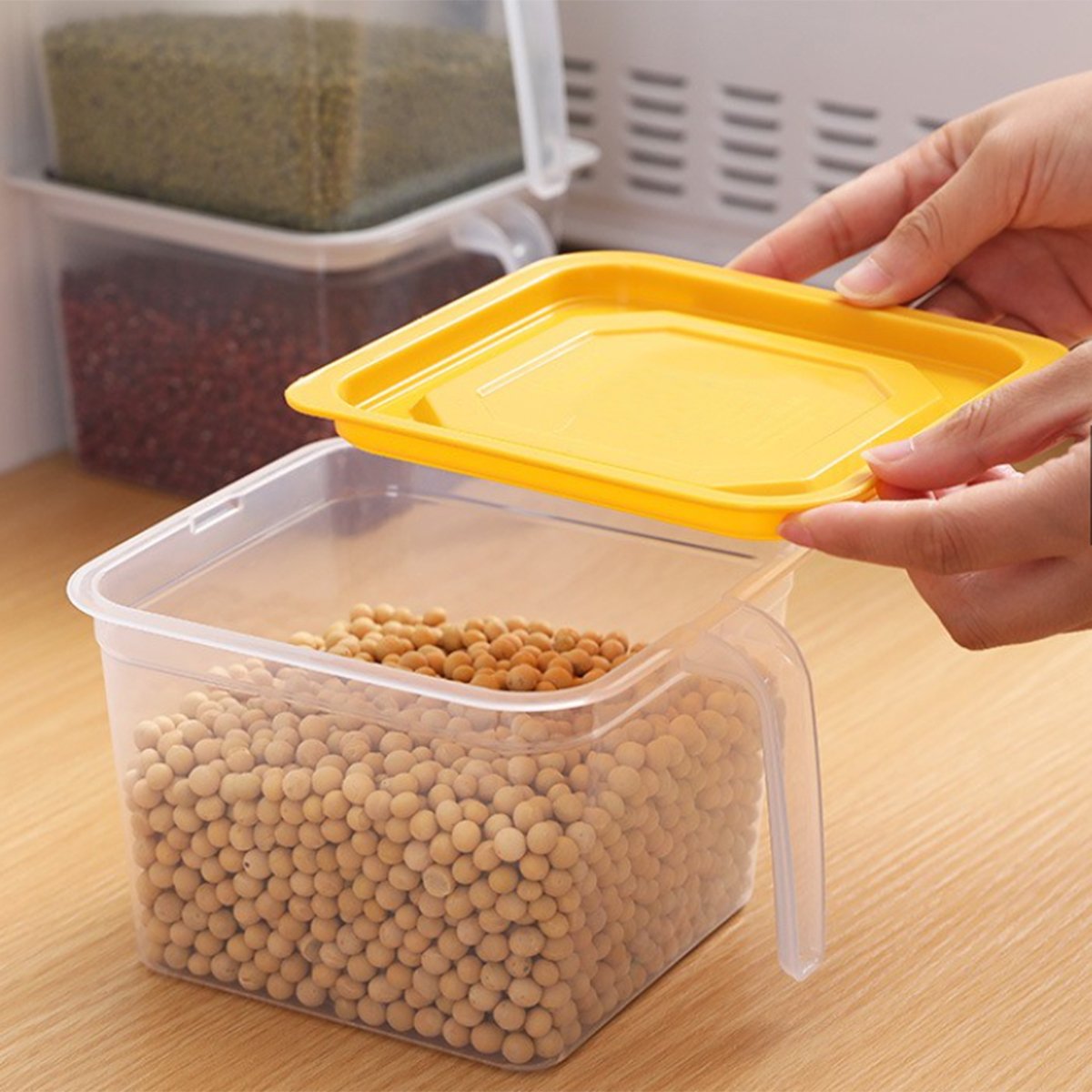 2366 Square Food Storage Containers With Handle (1 PC) - SkyShopy