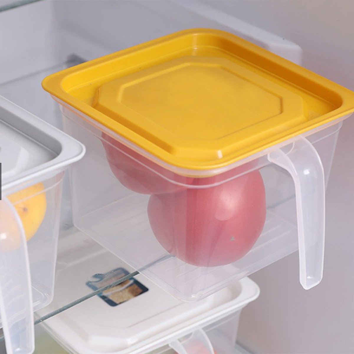 2366 Square Food Storage Containers With Handle (1 PC) - SkyShopy