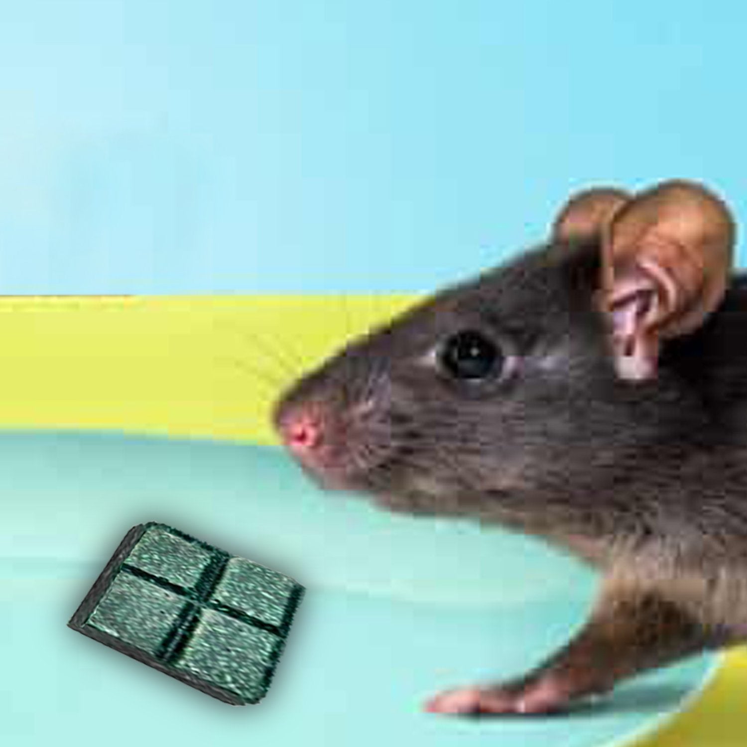 0296 PCI Roban the Rat Killer (Brown) Small - SkyShopy