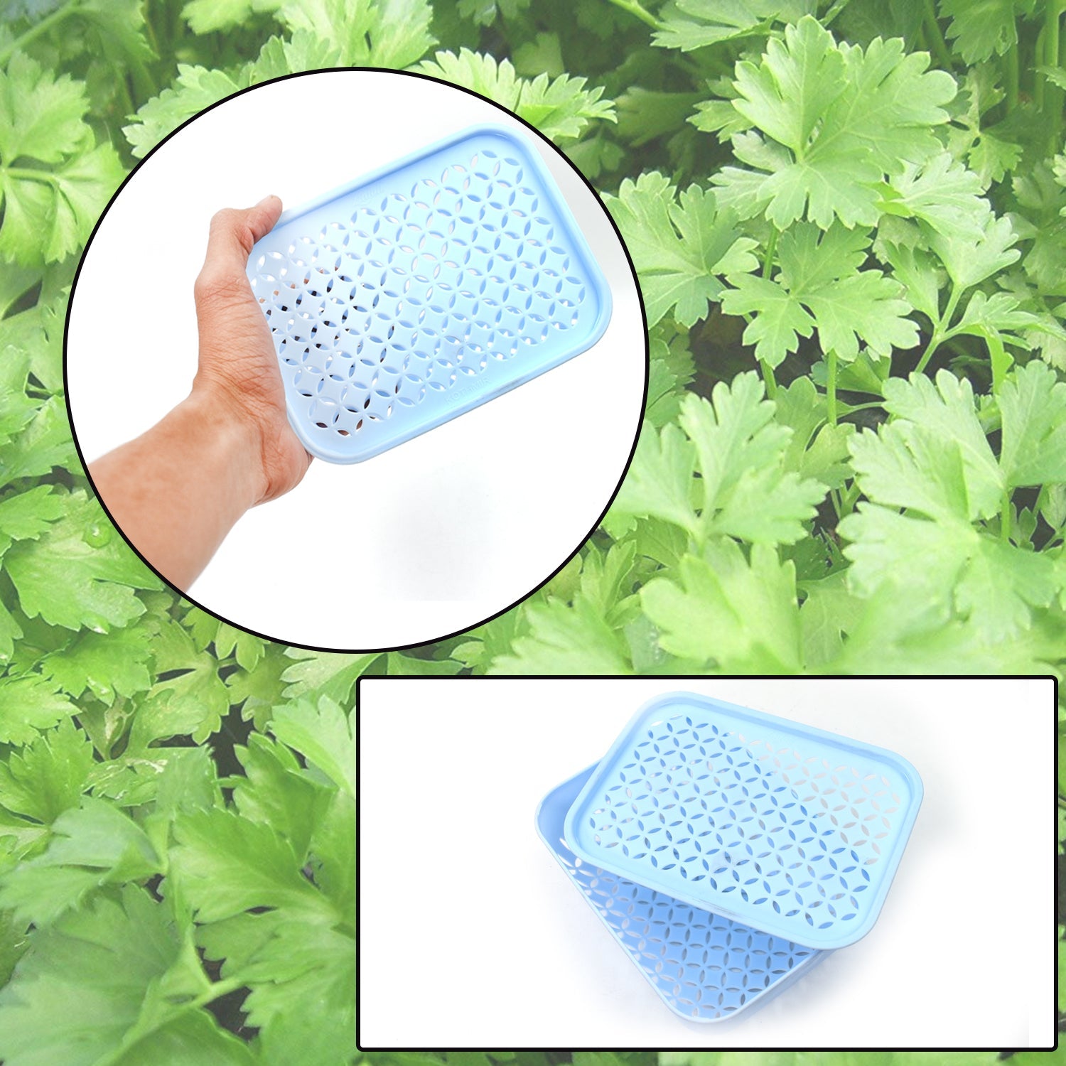 3758 1 Pc Kothmir Basket widely used in all types of household places for holding and storing various kinds of fruits and vegetables etc - DeoDap