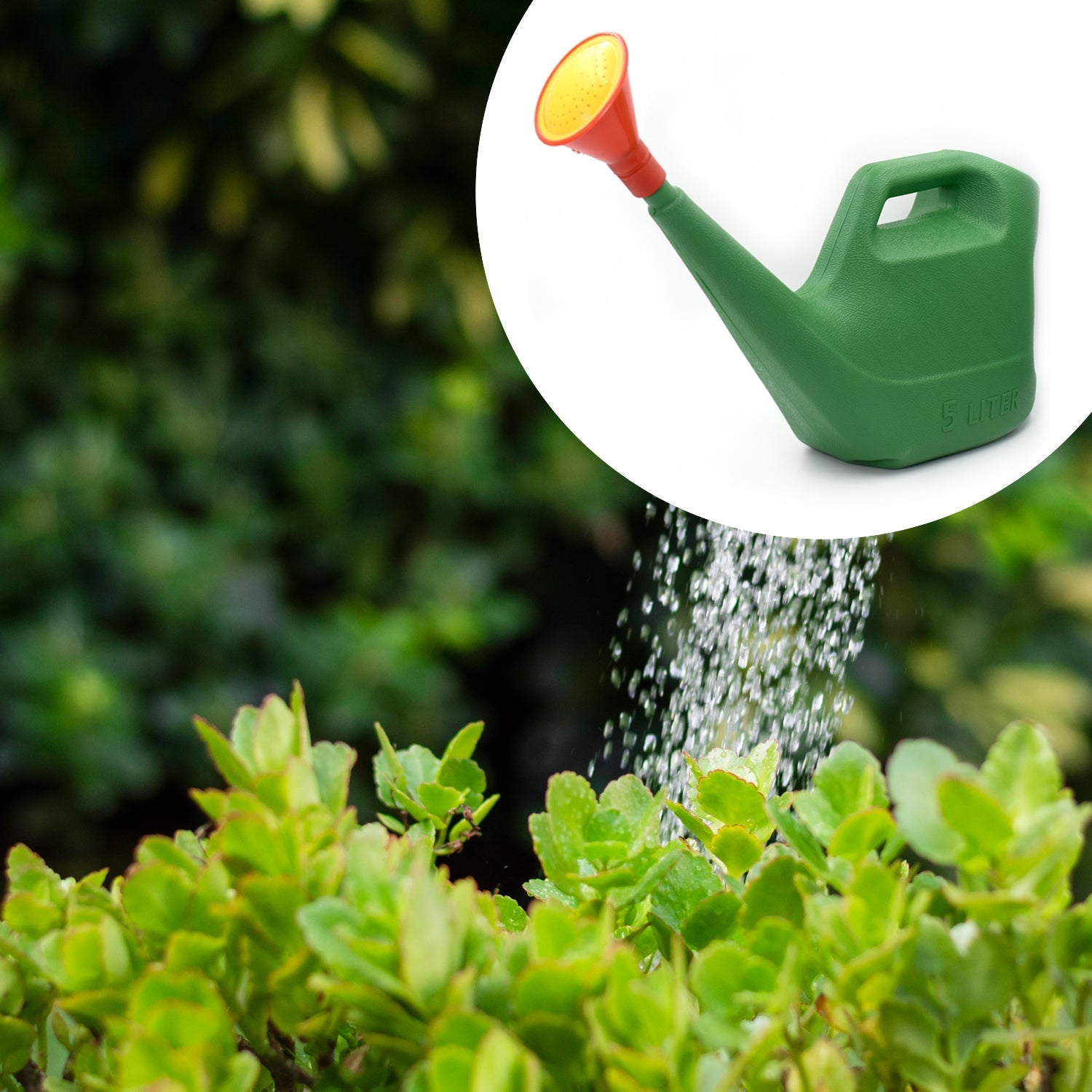 9021 Plastic Watering Can Water Sprayer Sprinkler for Plants Indoor Outdoor Gardening, 5 LTR freeshipping - DeoDap