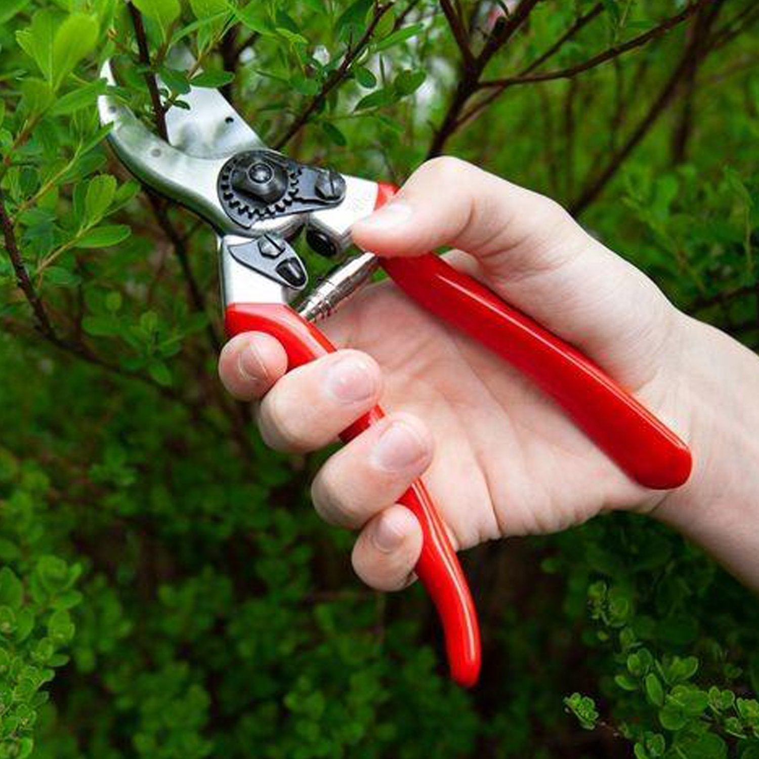 1746 Garden Sharp Cutter Pruners Scissor with grip-handle