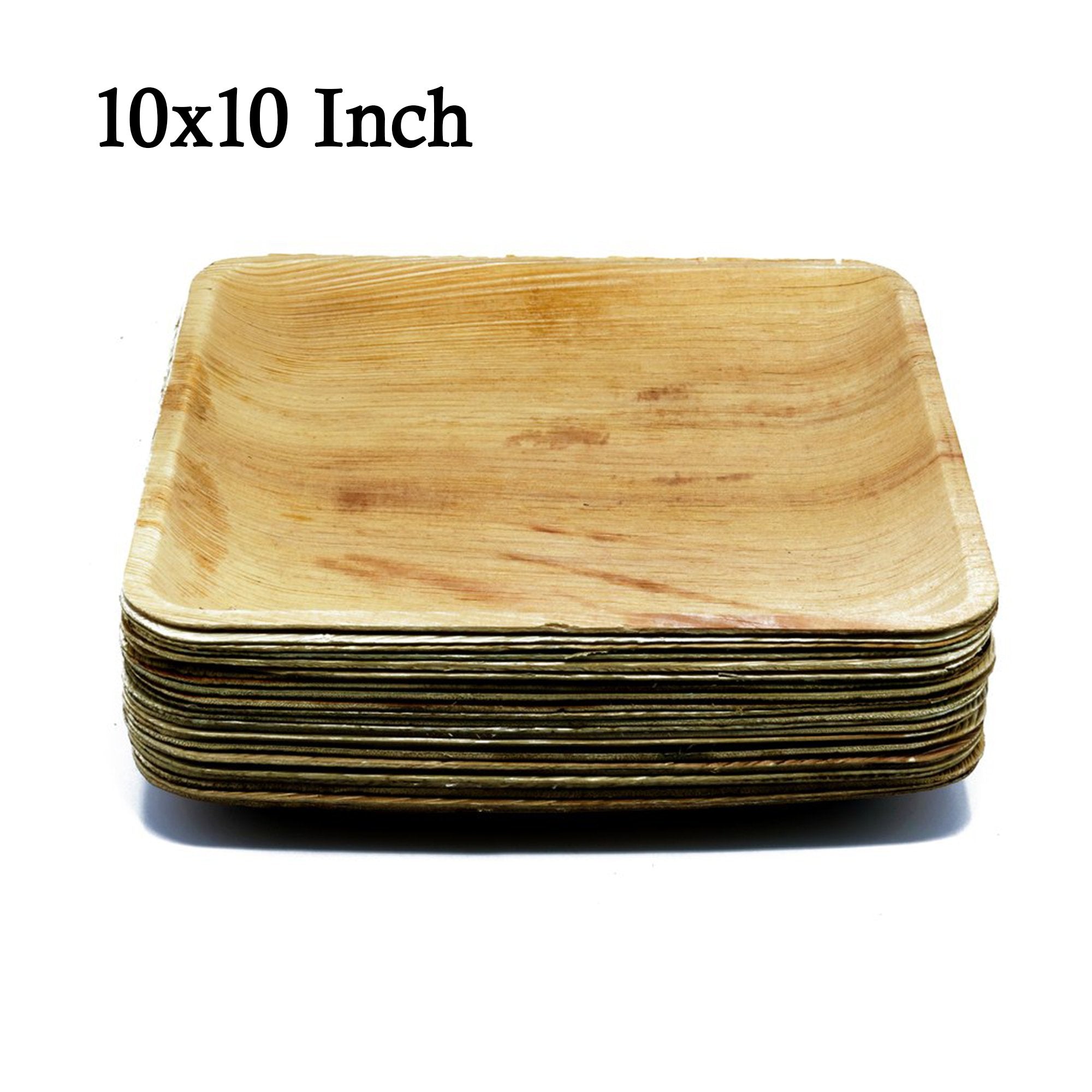 3214 Disposable Square Eco-friendly Areca Palm Leaf Plate (10x10 inch) (pack of 25) - SkyShopy