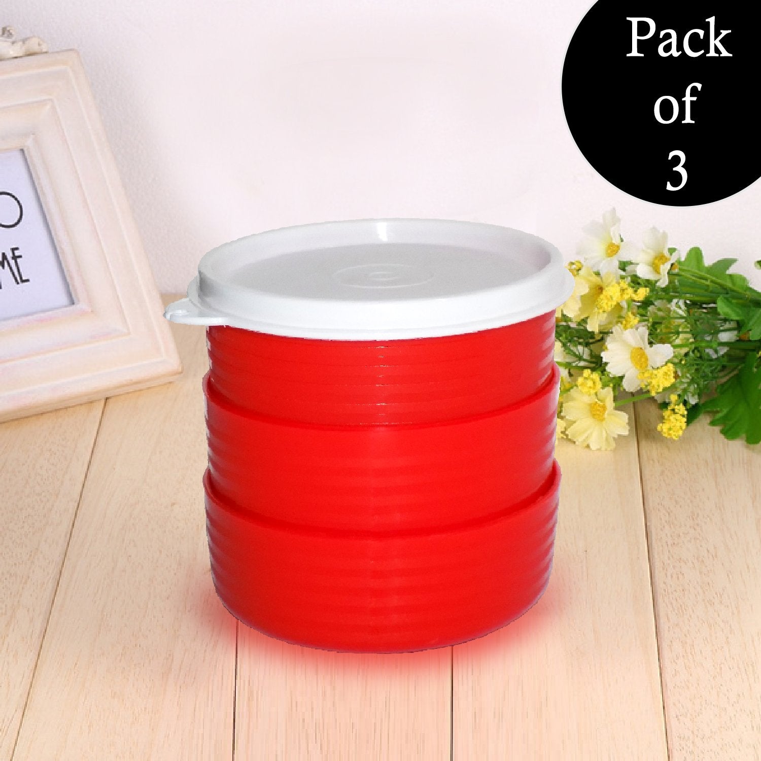 2396 Classics Food Container with Leak Proof Lid (Pack of 3) - SkyShopy