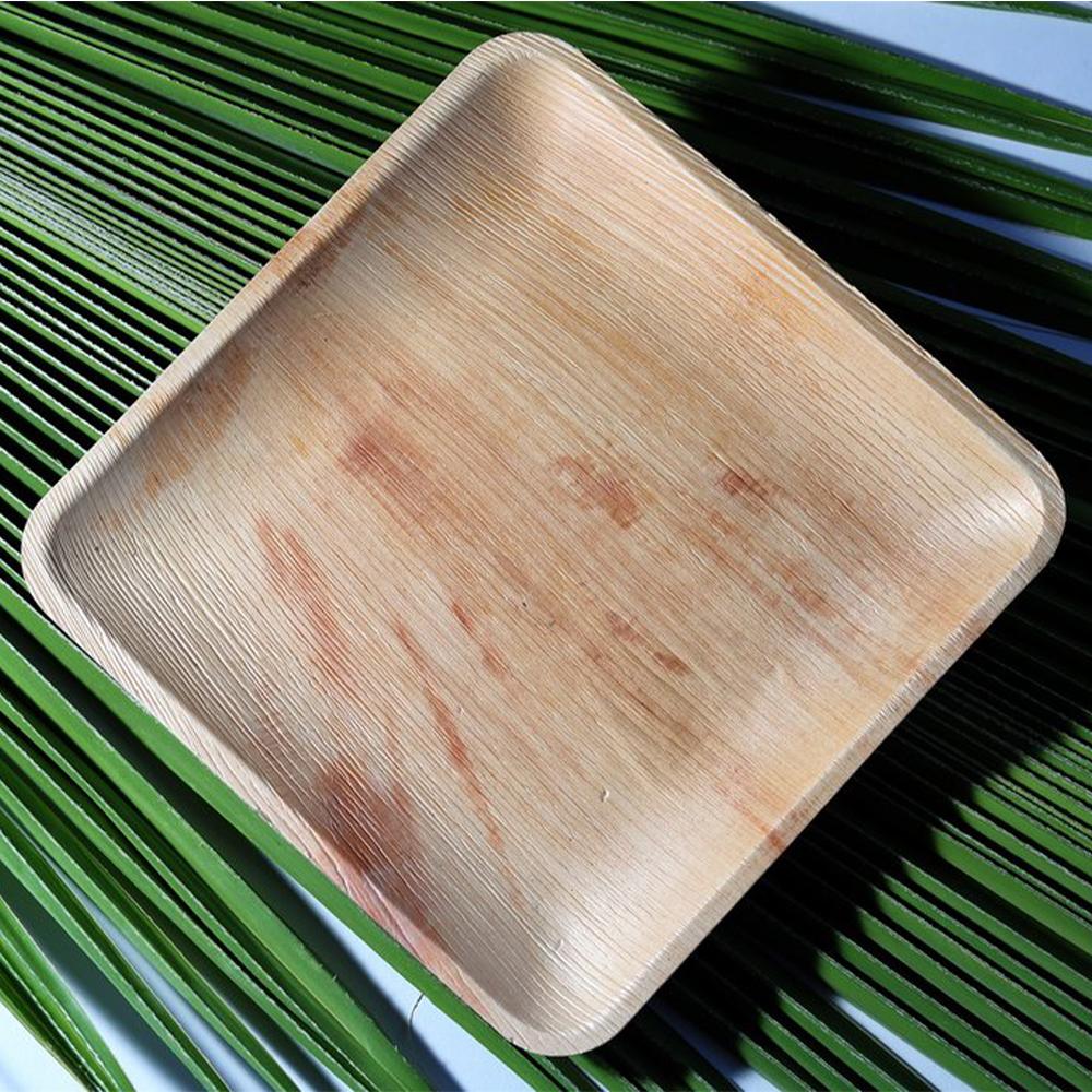 3216 Disposable Square Eco-friendly Areca Palm Leaf Plate (8x8 inch) (pack of 25) - SkyShopy