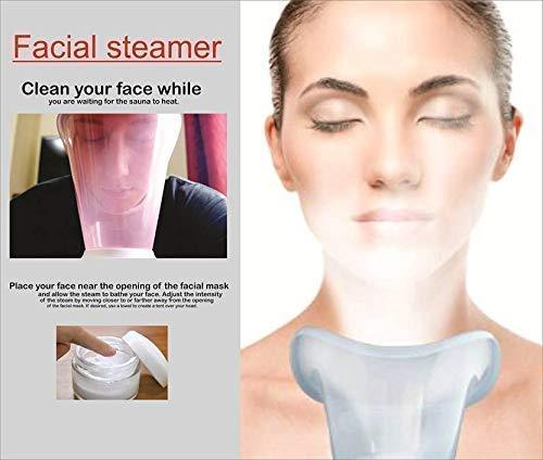 1279 2 in 1 Vaporiser steamer for cough and cold - SkyShopy