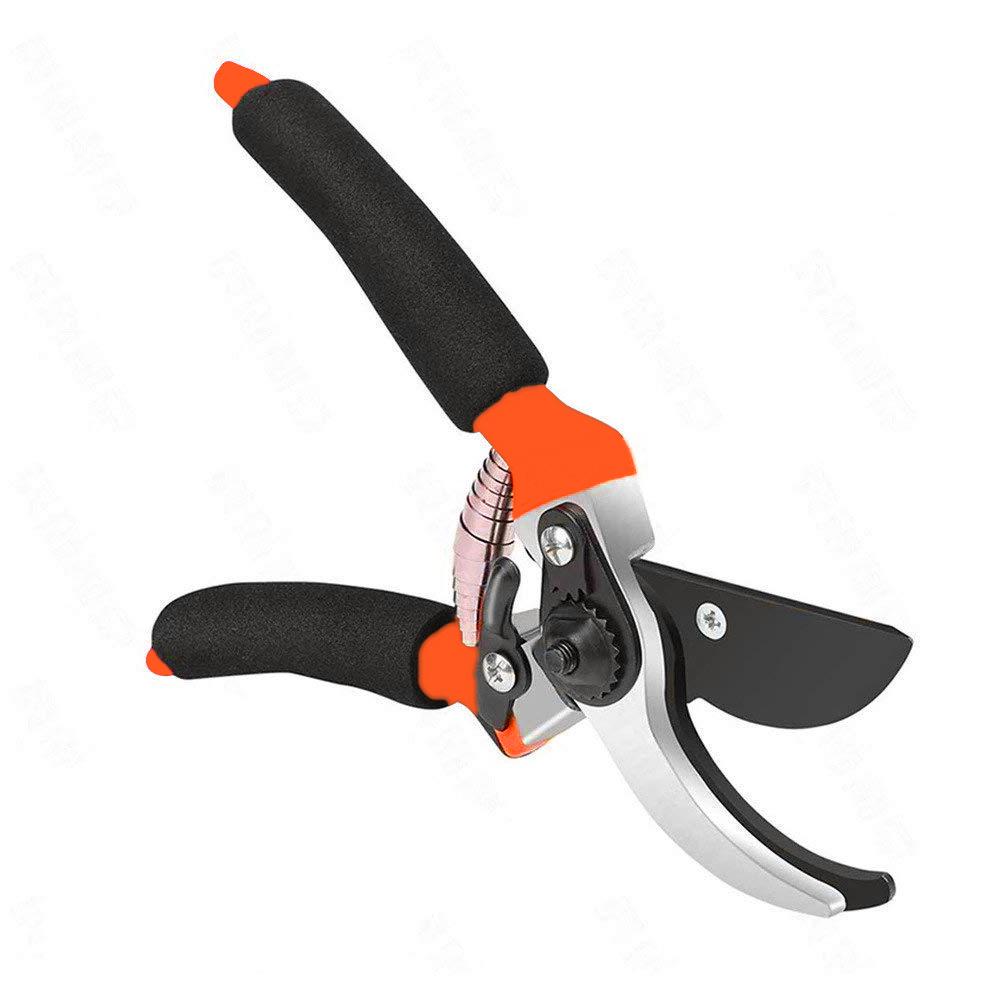 0479 Garden Shears Sharp Cutter Pruners Scissor, Pruner - SkyShopy