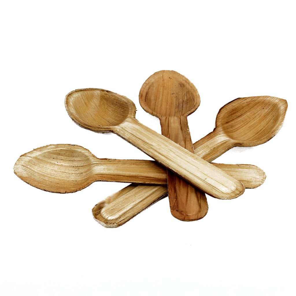 3223 Disposable Eco-friendly Wooden Spoons (Pack of 100) - SkyShopy