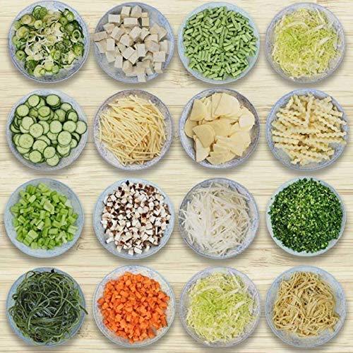 2415 Vegetable Cutter Chopper Chipser for Kitchen 12 in 1 (11 Blade and 1 Peeler) - SkyShopy