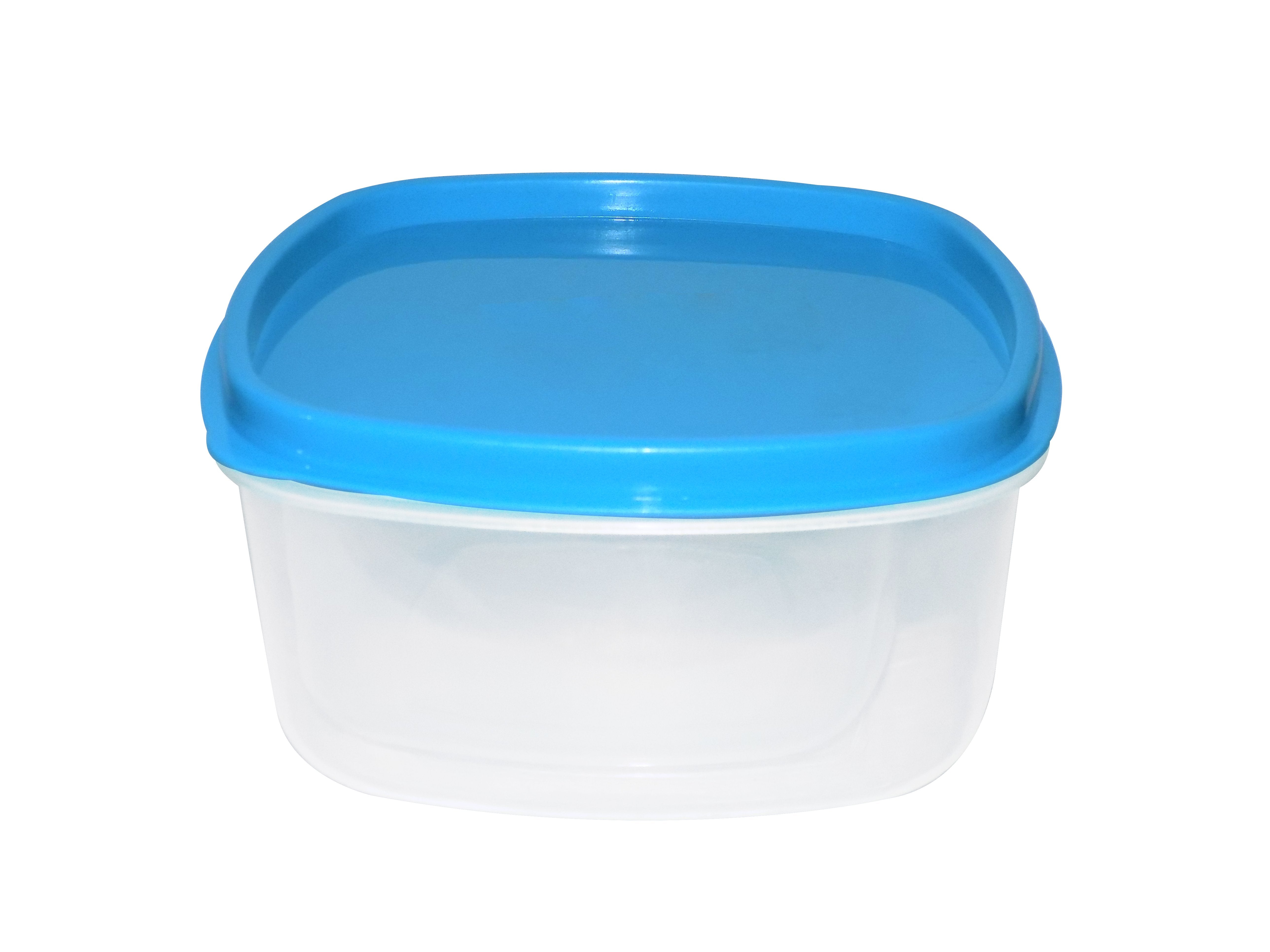 2196 Airtight Kitchen Storage Container for Multipurpose Use ( Set of 2) - SkyShopy