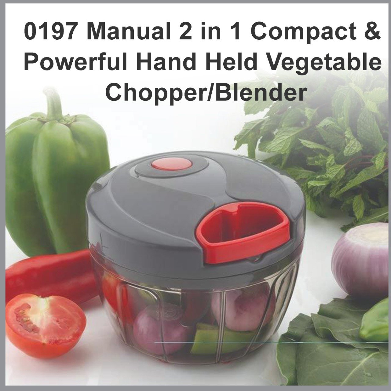 0197 Manual 2 in 1 Compact & Powerful Hand Held Vegetable Chopper/Blender - SkyShopy