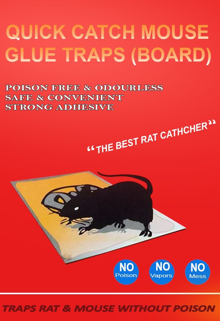 0203 Red Mice Glue Traps (1pc) - SkyShopy
